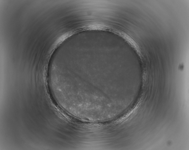 X0000116800930201001151119