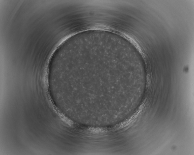 X0000116800931201001151119