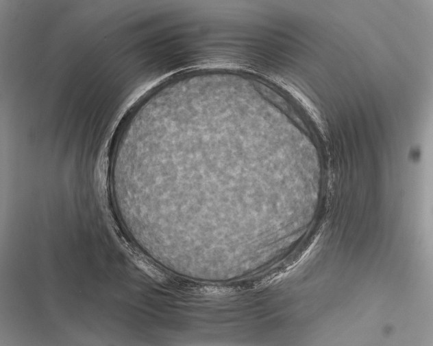 X0000116800933201001151119