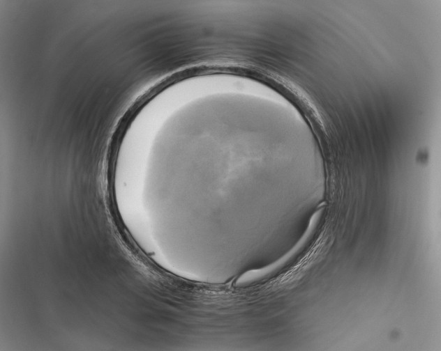 X0000116800935201001151119