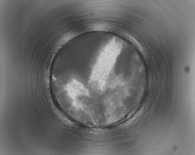 X0000116800938201001151119