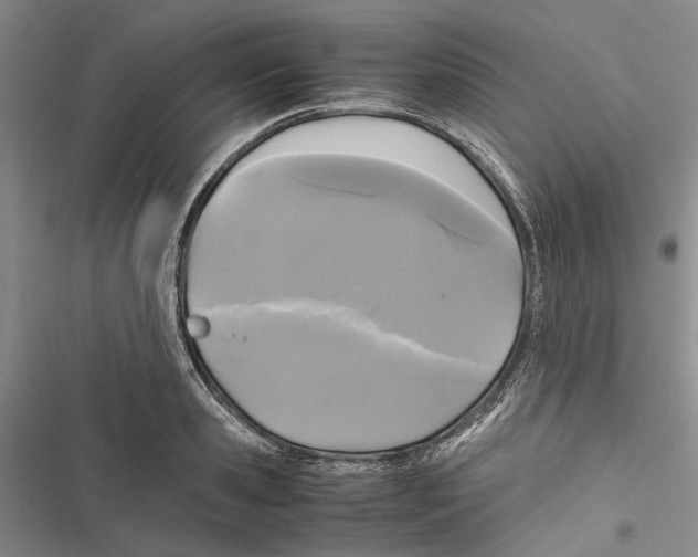 X0000116800941201001151119