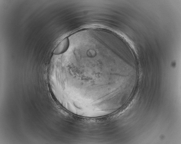 X0000116800945201001151119