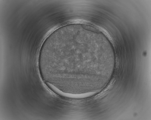 X0000116800946201001151119