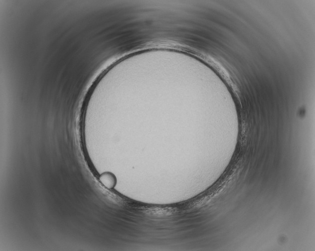X0000116800947201001151119