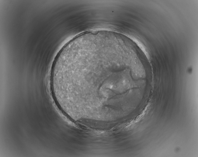 X0000116800949201001151120