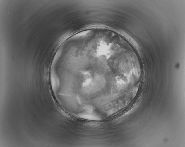 X0000116800953201001151120