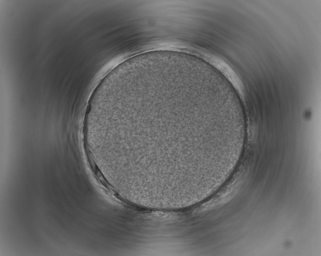 X0000116800954201001151120