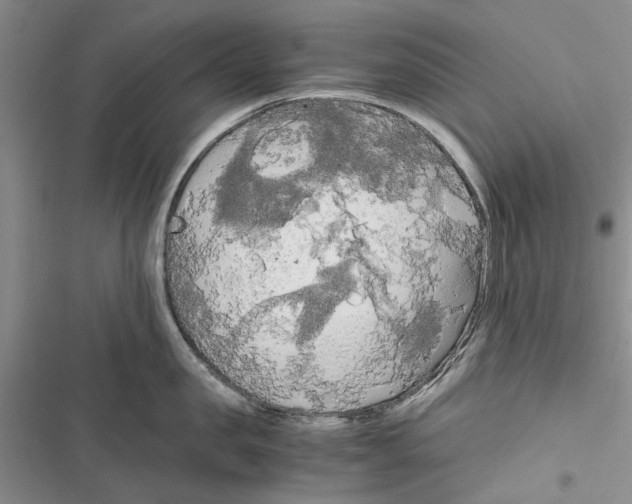 X0000116800957201001151120