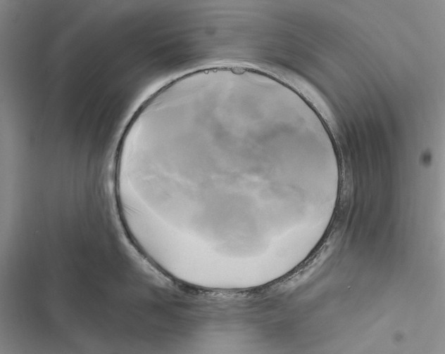 X0000116800958201001151120