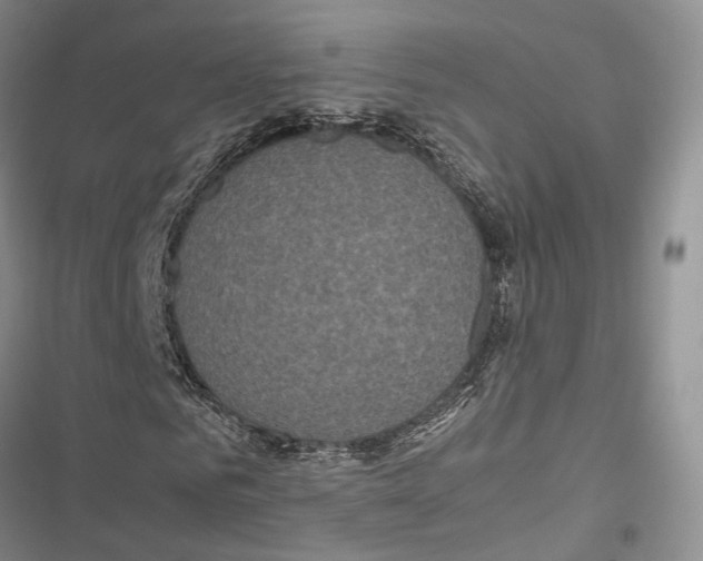 X0000116800961201001151119
