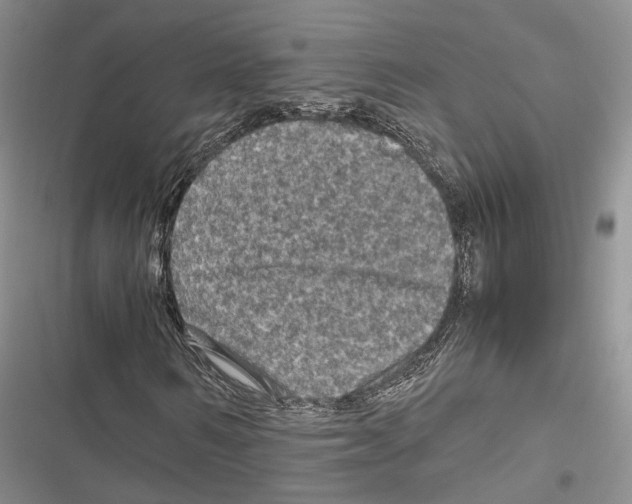 X0000116800962201001151119
