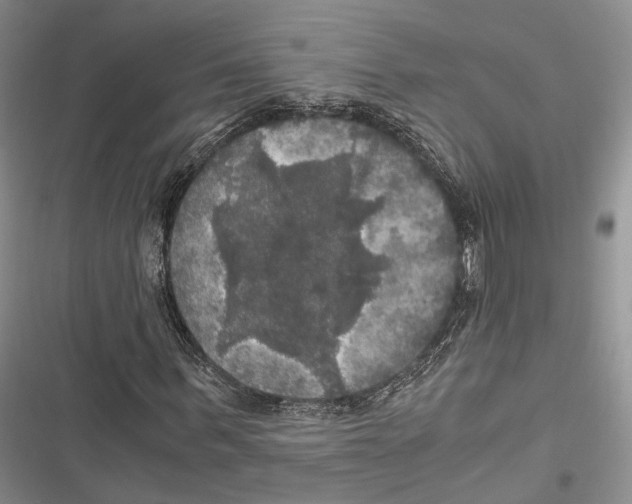 X0000116800963201001151119