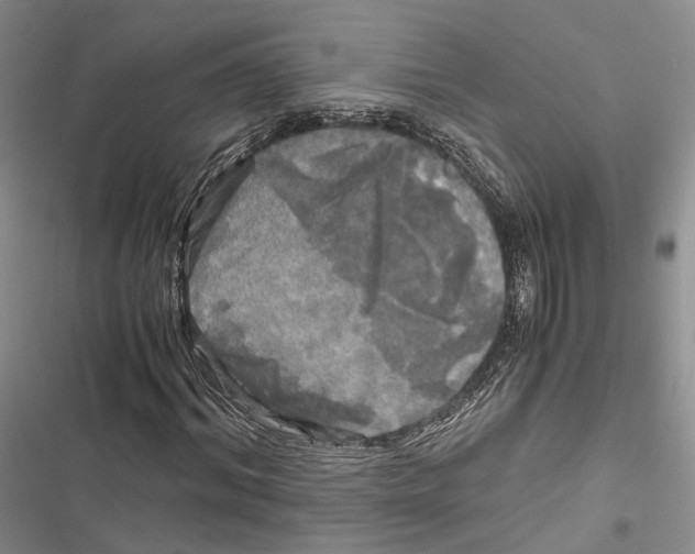 X0000116800964201001151119