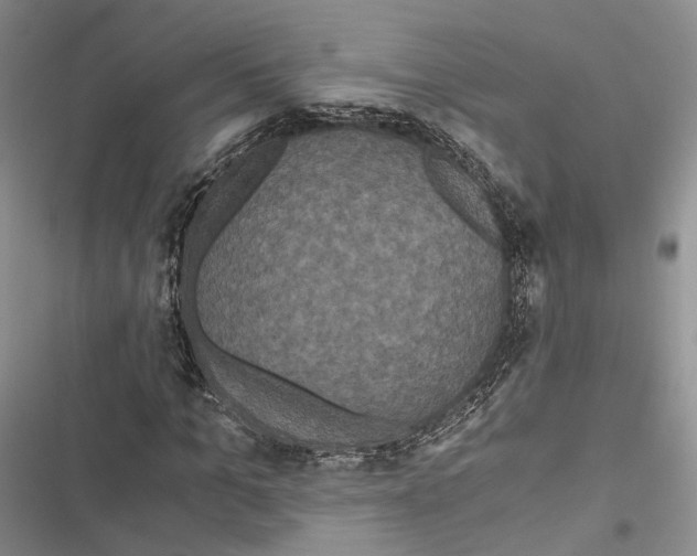 X0000116800965201001151119