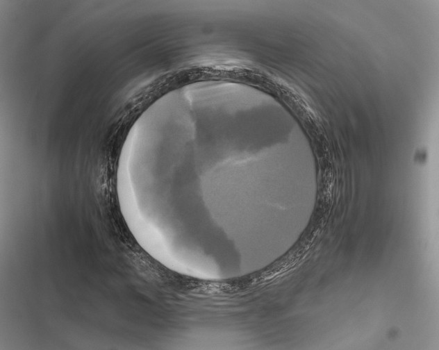 X0000116800966201001151119