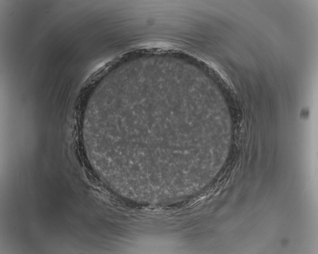 X0000116800967201001151119