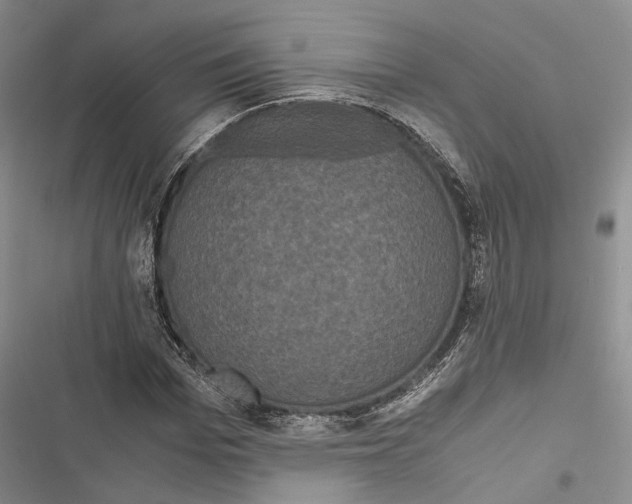 X0000116800969201001151119
