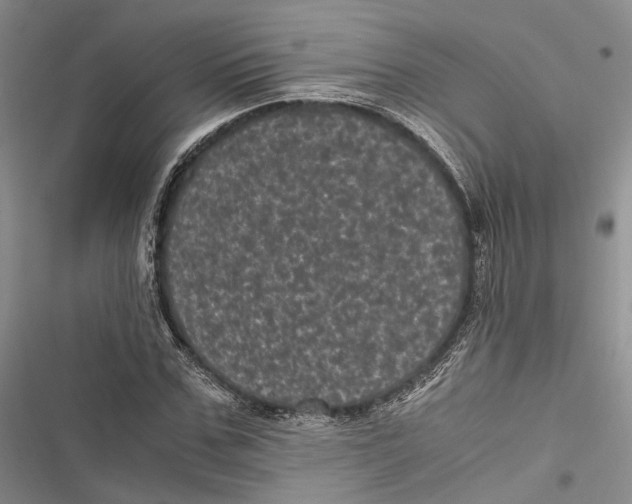 X0000116800971201001151119