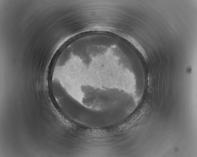 X0000116800972201001151119