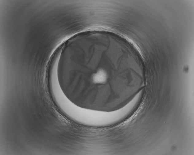 X0000116800973201001151119