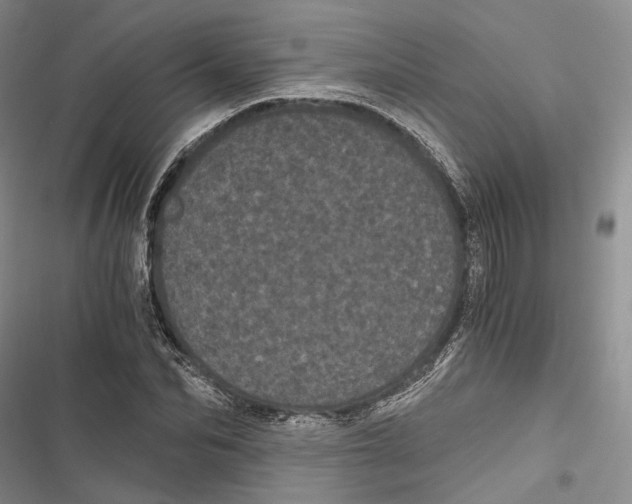 X0000116800974201001151119