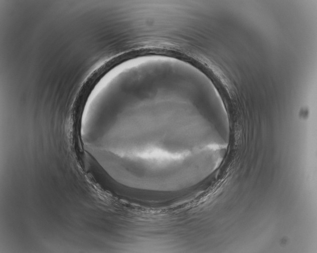 X0000116800975201001151119