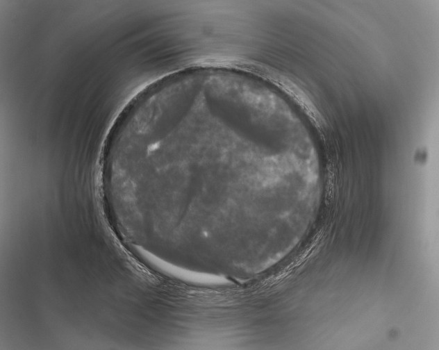 X0000116800976201001151119