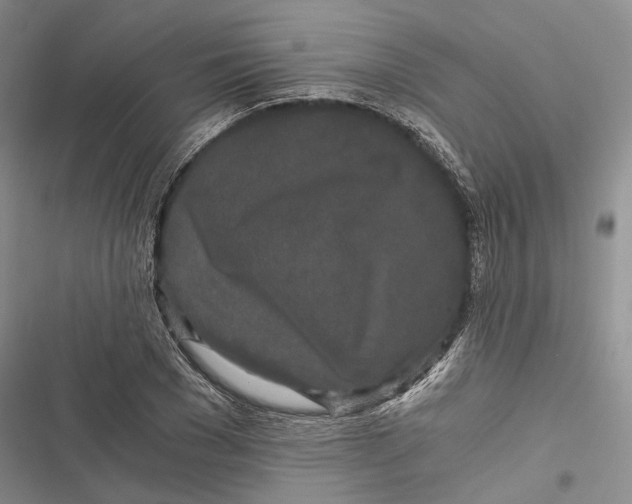 X0000116800977201001151119