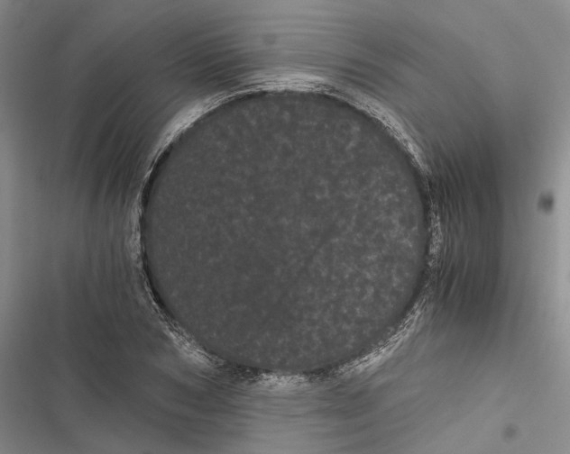 X0000116800978201001151119