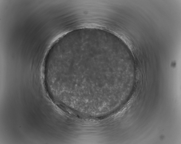 X0000116800979201001151119