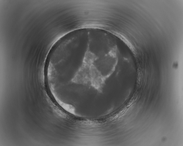 X0000116800980201001151119