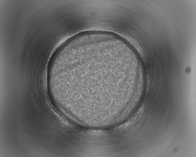 X0000116800982201001151119