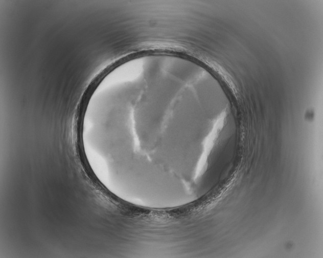 X0000116800983201001151119