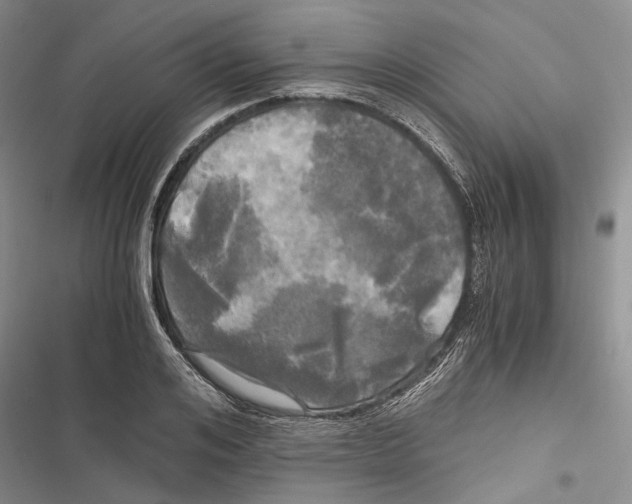 X0000116800984201001151119
