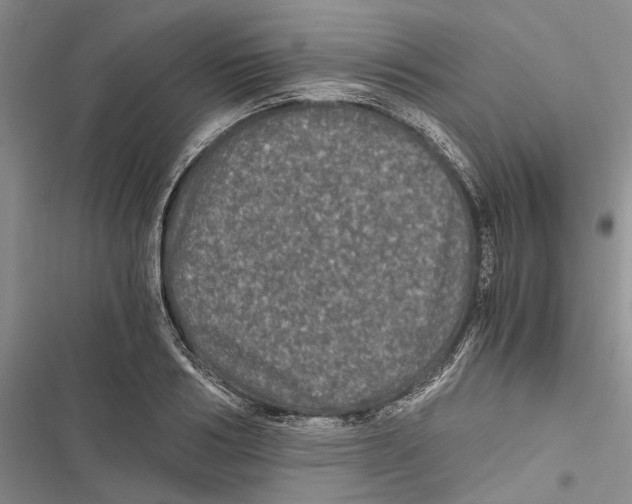 X0000116800986201001151119