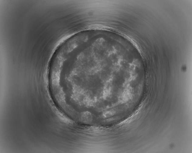 X0000116800987201001151119