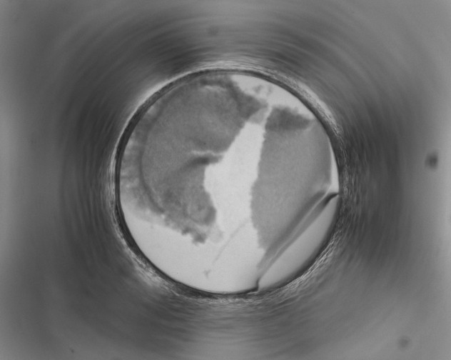X0000116800988201001151119