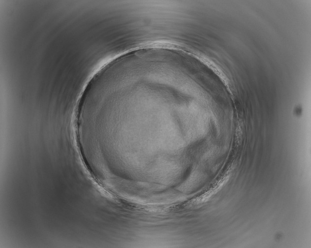 X0000116800989201001151119