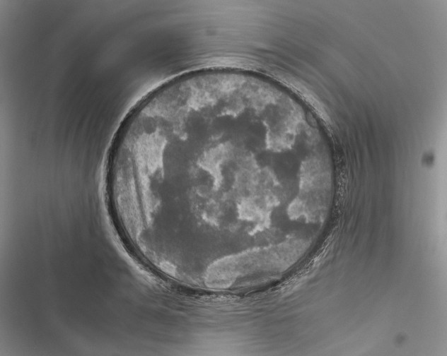 X0000116800991201001151119