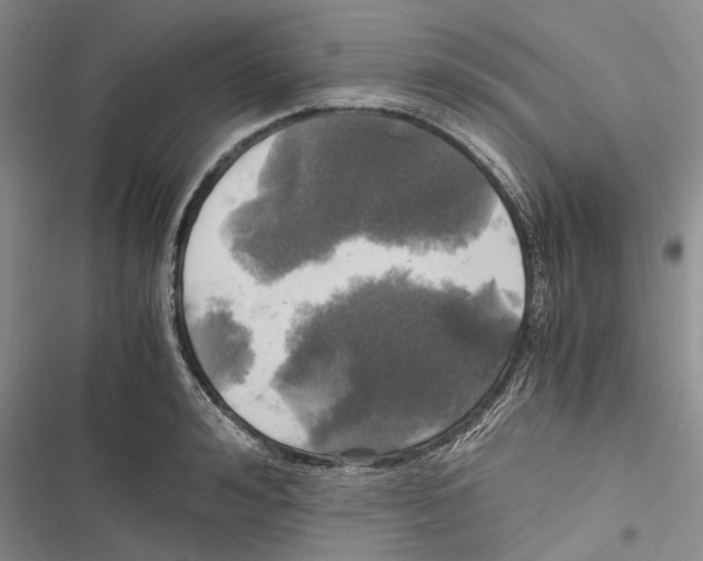 X0000116800992201001151119