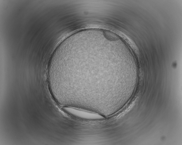 X0000116800993201001151119