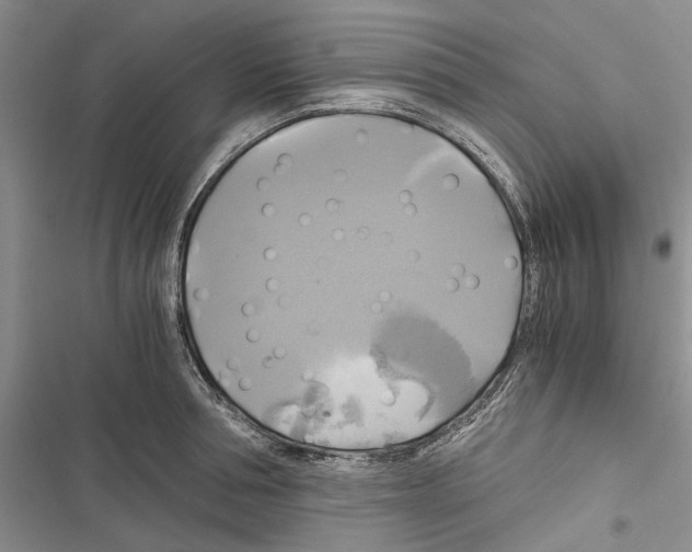 X0000116800994201001151119