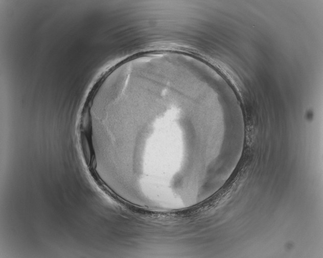 X0000116800995201001151119