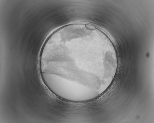 X0000116800996201001151119