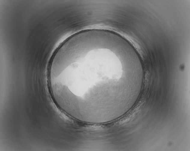 X0000116800998201001151119