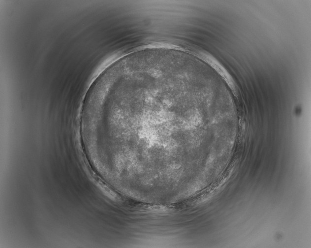 X0000116801002201001151118