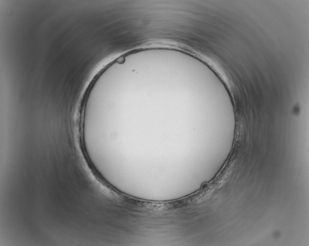 X0000116801003201001151118