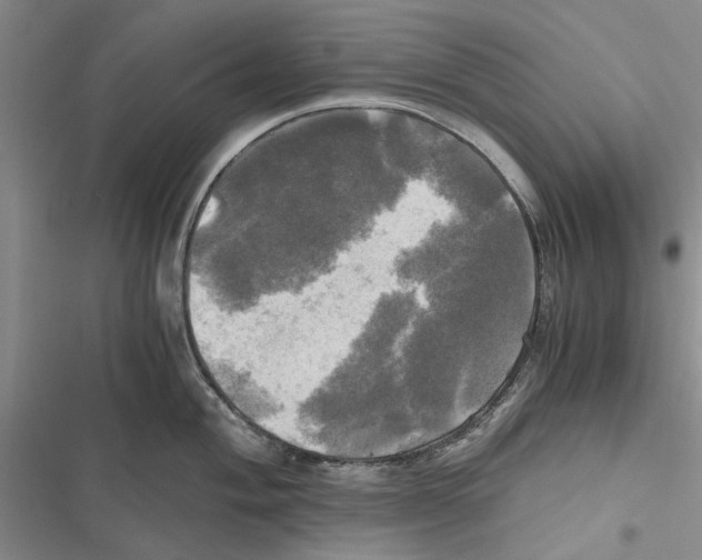 X0000116801004201001151118