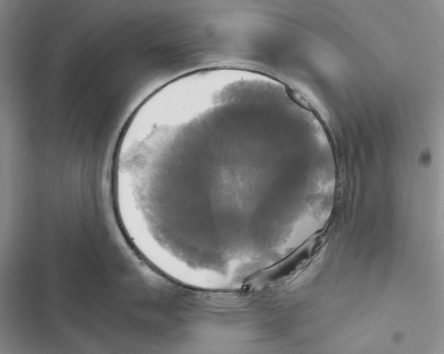 X0000116801007201001151118